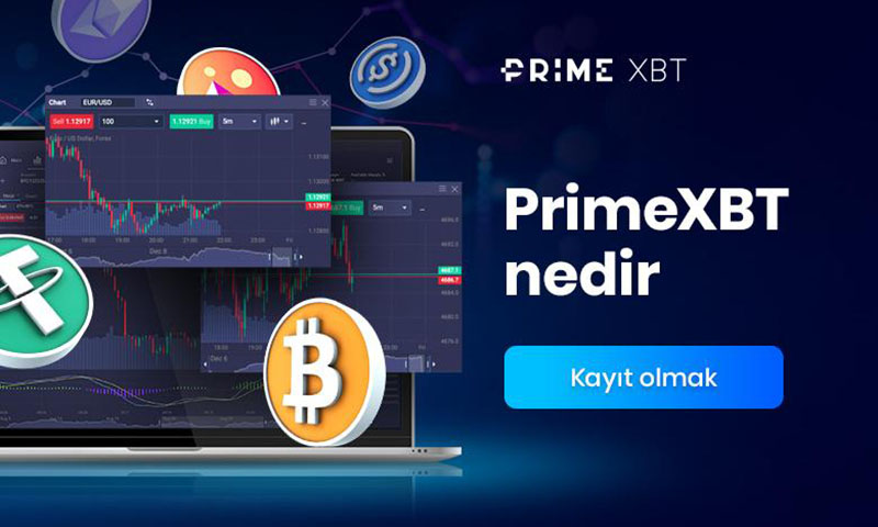 Understanding the PrimeXBT Cookie Policy Understanding the PrimeXBT Cookie Policy