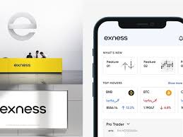 Trade Crypto On Exness A Comprehensive Guide Trade Crypto On Exness A Comprehensive Guide