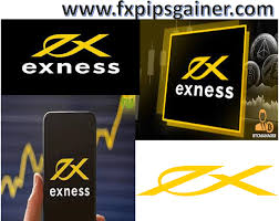 Discover the Best Exness Account Forex for Optimal Trading Success