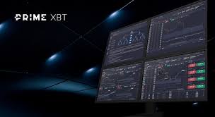 Spot Trading on PrimeXBT A Comprehensive Guide to Trading Success