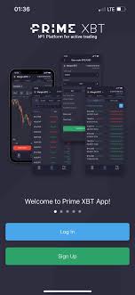 Discover the Potential of Trading on Platform PrimeXBT Discover the Potential of Trading on Platform PrimeXBT