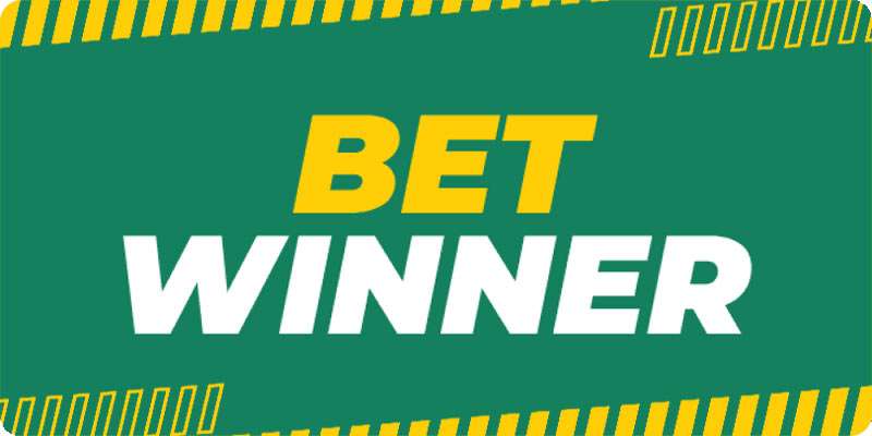 Bets at BetWinner A Comprehensive Guide -614035499