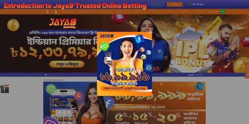 Winning Strategies for Joya9 Evolution Live Roulette